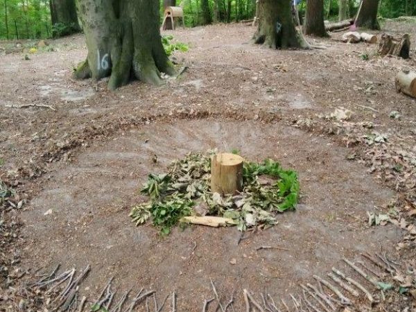 Waldstück mit hohen Bäumen und dichtem Grün in der Umgebung der Kita Vogelhüttenberg, natürlicher Spiel- und Erlebnisraum für Kinder.